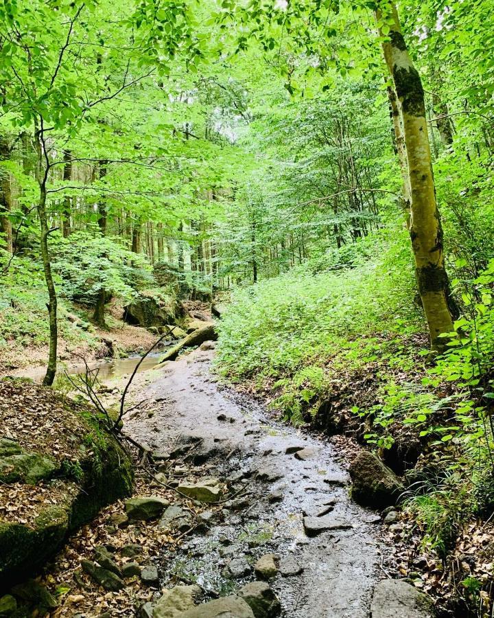 Tailor'S Trail Gite D'Adventure Beaufort Mullerthal ภายนอก รูปภาพ